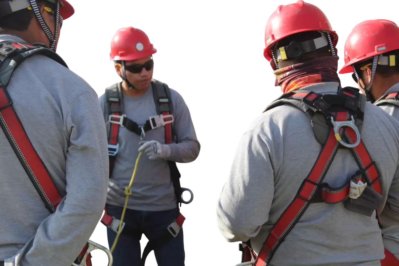 IMG_7945 (2)-Photoroom IMG_7945 (2)-Photoroom